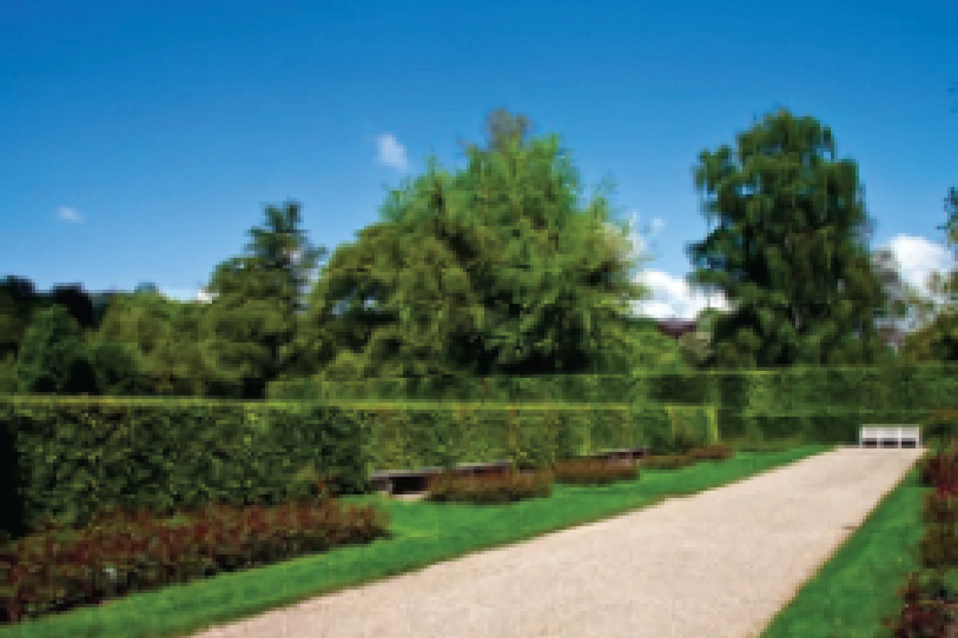 Image of a garden area inside the Qutub valley plot.